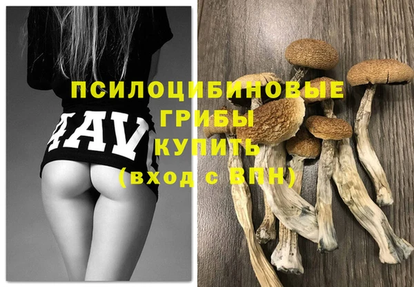 спиды Арсеньев